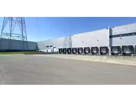 bâtiment d’entreprise à louer à willebroek pour € 42.762