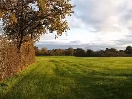 vente terrain à saint-laurent-de-la-plaine (49290) : à vendre / 412m² saint-laurent-de-la-
