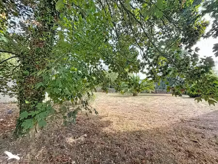 terrain