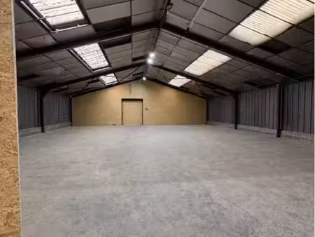 local d’activité / bâtiment / hangar / cellule artisanale