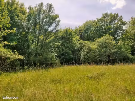terrain 1987 m² luzech