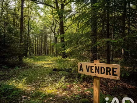 vente terrain 7 159 m²