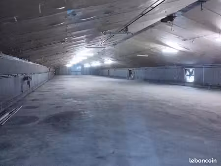 local stockage