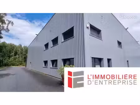 local d'activité 2 619 m²