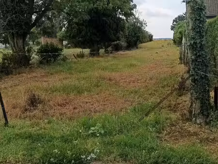 terrain à bâtir