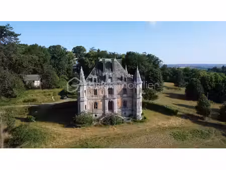 chateau de 350 m² à dompierre-du-chemin