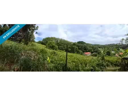vente terrain  4546.00m²  ducos
