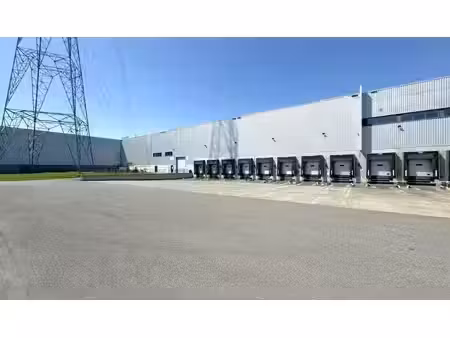 loods met kantoren te huur in kersdonk logistics centre willebroek