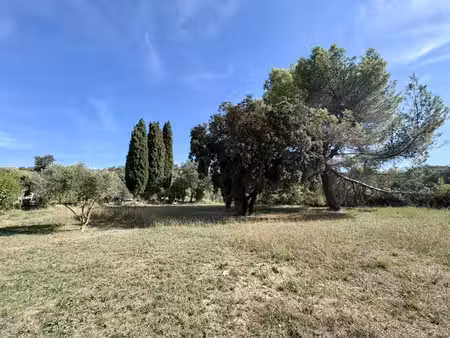 terrain