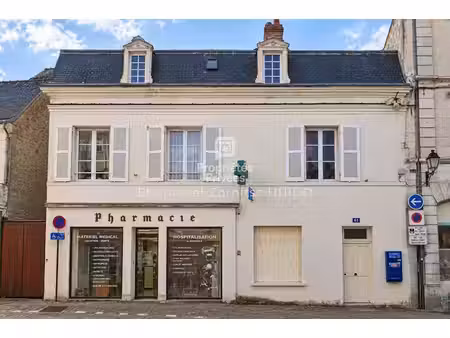 achat immeuble 238m² chatillon sur indre 36700