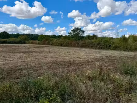 vente terrain 701 m² à sassay (41700)  37 500 €