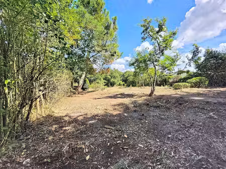 terrain - 1098 m²