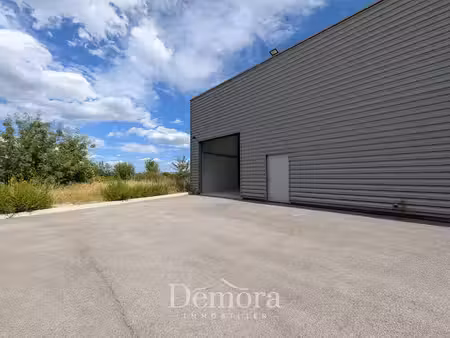 location immeuble 1 pièce 100 m² à saint-sériès (34400)  1 107 €