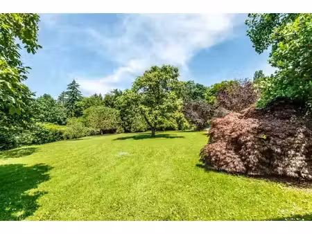 terrain constructible à fessy – rare sur le marché !