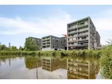 appartement te koop in hemiksem met 2 slaapkamers