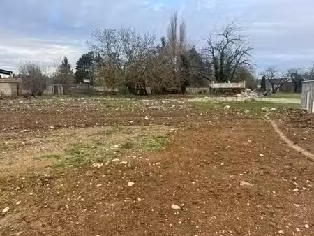 terrain