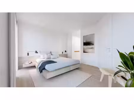 huis te koop in blaasveld met 3 slaapkamers