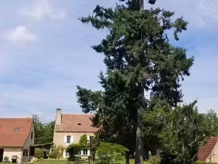 saint-cyprien (24220)