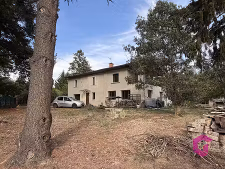 a 10 minutes de billom  maison rénovée avec plus de 8 000m2
