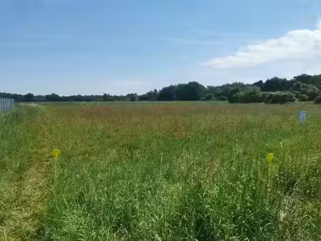 vente terrain 1017 m² mazères (33210)