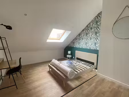 location chambre 1 pièce  58.79m²  saint