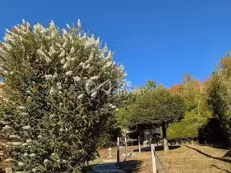 vente chalet 2 pièces 31 m² à sammeron (77260)  95 000 €