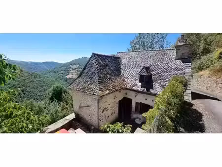 vente maison 3 pièces 95 m² à saint-hippolyte (12140)  90 000 €