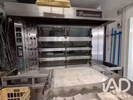 vente locaux professionnels 0 pièces 300 m² à vibraye (72320)  274 960 €