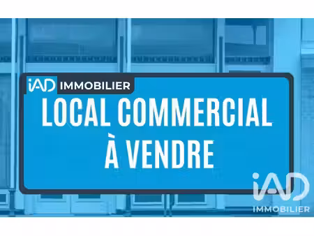 vente commerce 46 m² saint-gilles (35590)