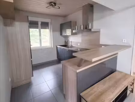 saint-jean-les-longuyon : charmante maison jumelee
