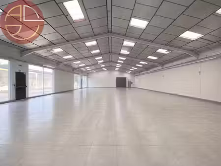 vente locaux professionnels 1 pièce 1800 m² à plaisance-du-touch (31830)  1 470 000 €