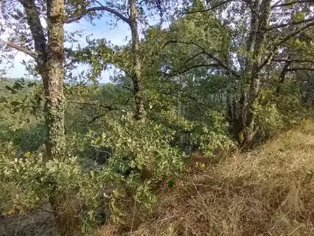 terrain - 1730 m²
