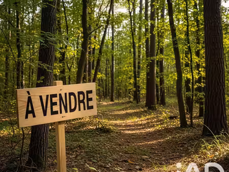 terrain à arsac (33460)