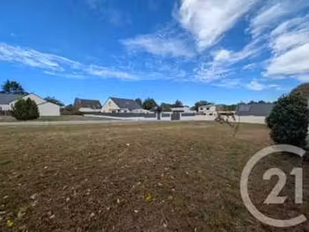 vente terrain à muzillac (56190) : à vendre / 475m² muzillac