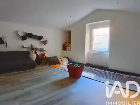 vente maison 4 pièces 107 m² sèvremoine (49710)