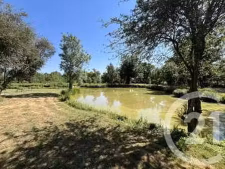 vente terrain à puceul (44390) : à vendre / 13870m² puceul