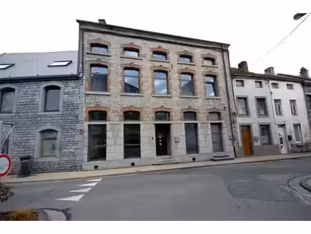 appartement rénové à neuf 2 chambres avec terrasse
