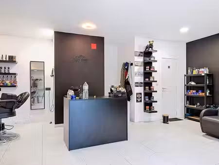 commercial unique avec partie habitation  terrasse et jardin