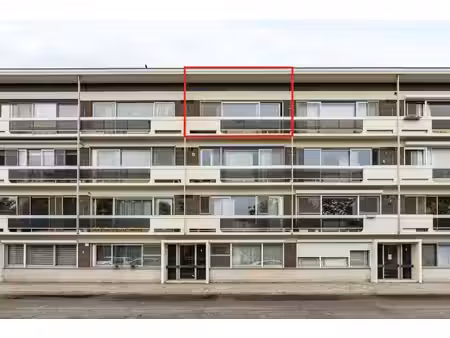 appartement 2 chambres à edegem