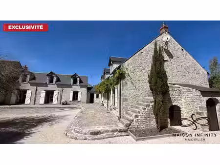vente maison 10 pièces 280 m² à pithiviers-le-vieil (45300)  400 000 €
