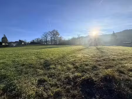 vente terrain 700 m² sainte-foy-l’argentière (69610)