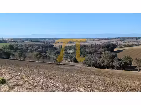 grande maison de plain pied avec annexe de 100 m² au calme et avec une vue pyrénées