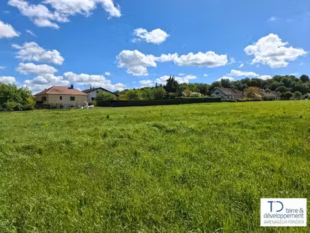 vivialys services