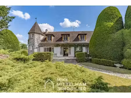 mike mittelham immobilier