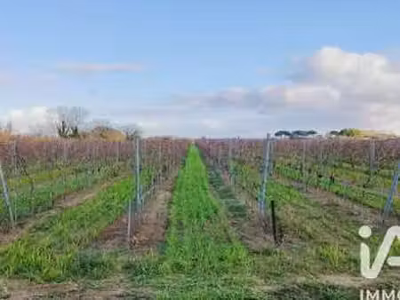 vente terrain à saint-laurent-d'aigouze (30220) : à vendre / 90000m² saint-laurent-d'aigou