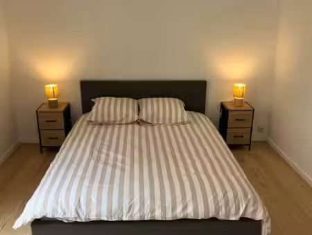 t2 de 54m² refait à neuf