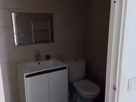 location appartement 1 pièce 27 m² à massy (91300)