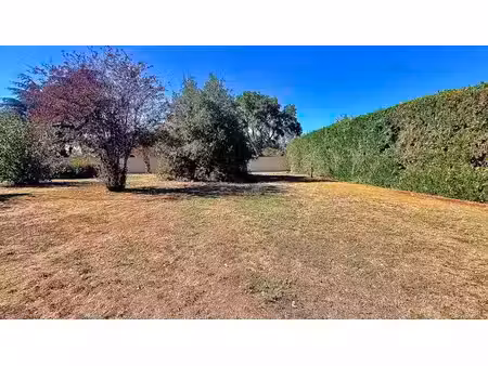 terrain