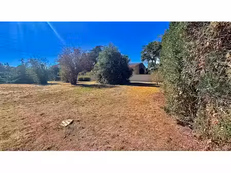 terrain