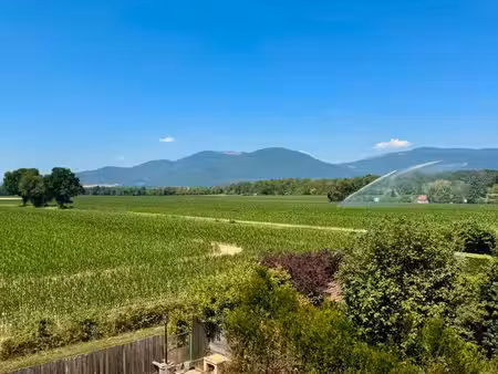 appartement avec jardin privatif